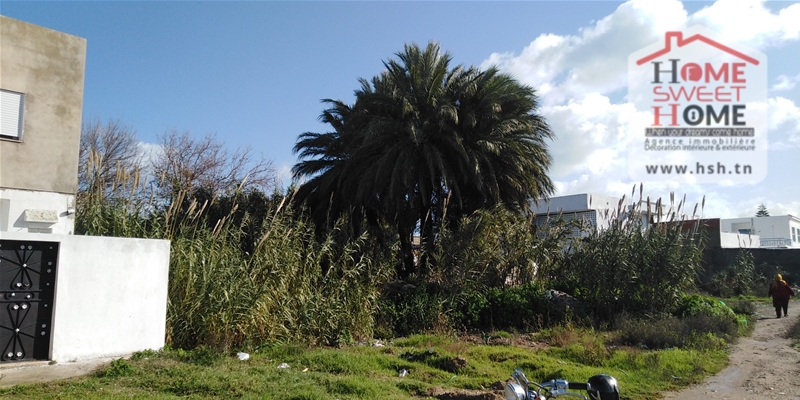 La Marsa Gammart Terrain Terrain nu Terrain harouch  gammarth