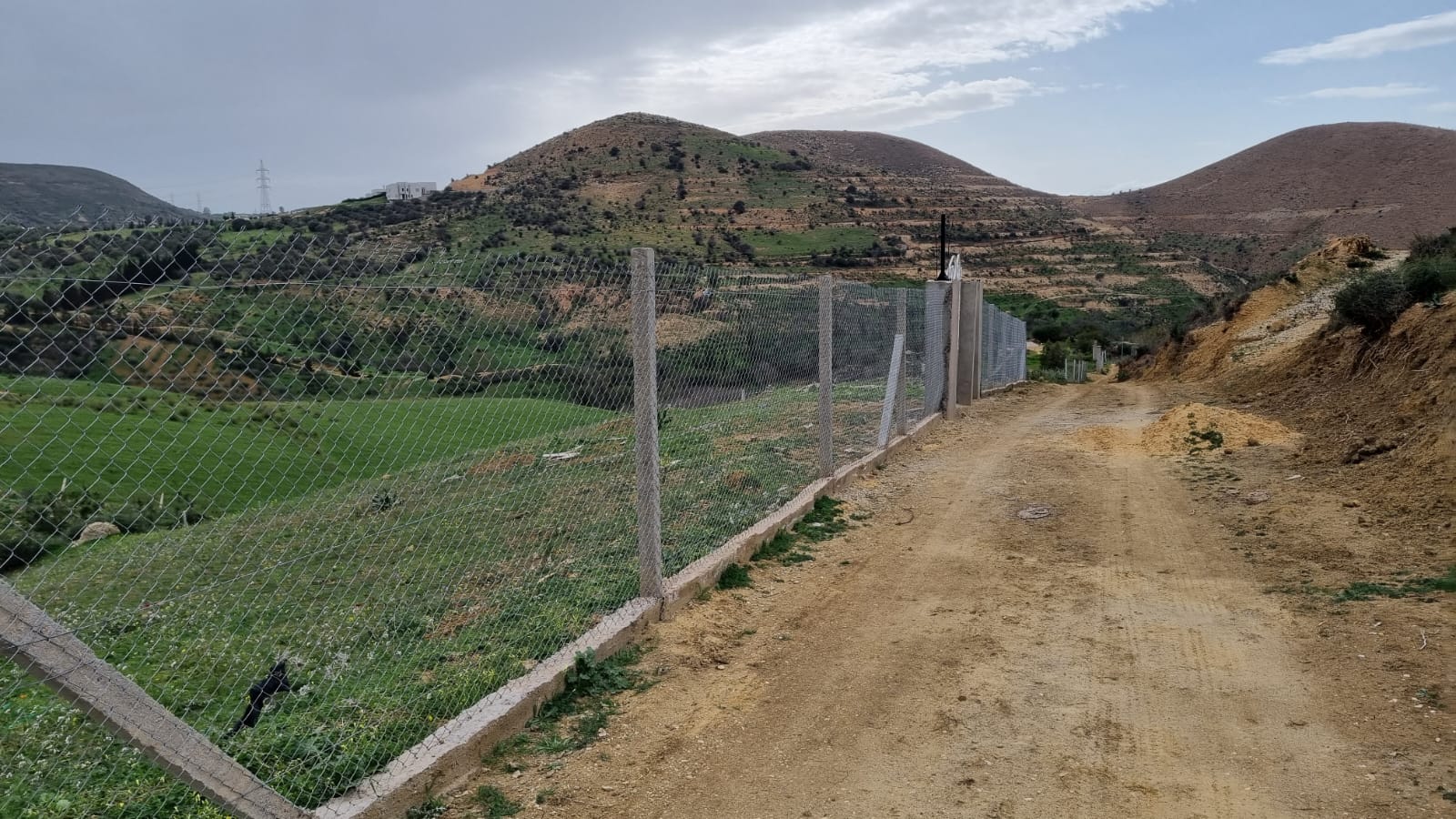 Sidi Thabet Jabbes Terrain Terrain agricole Terrain au calme pour une rsidence secondaire