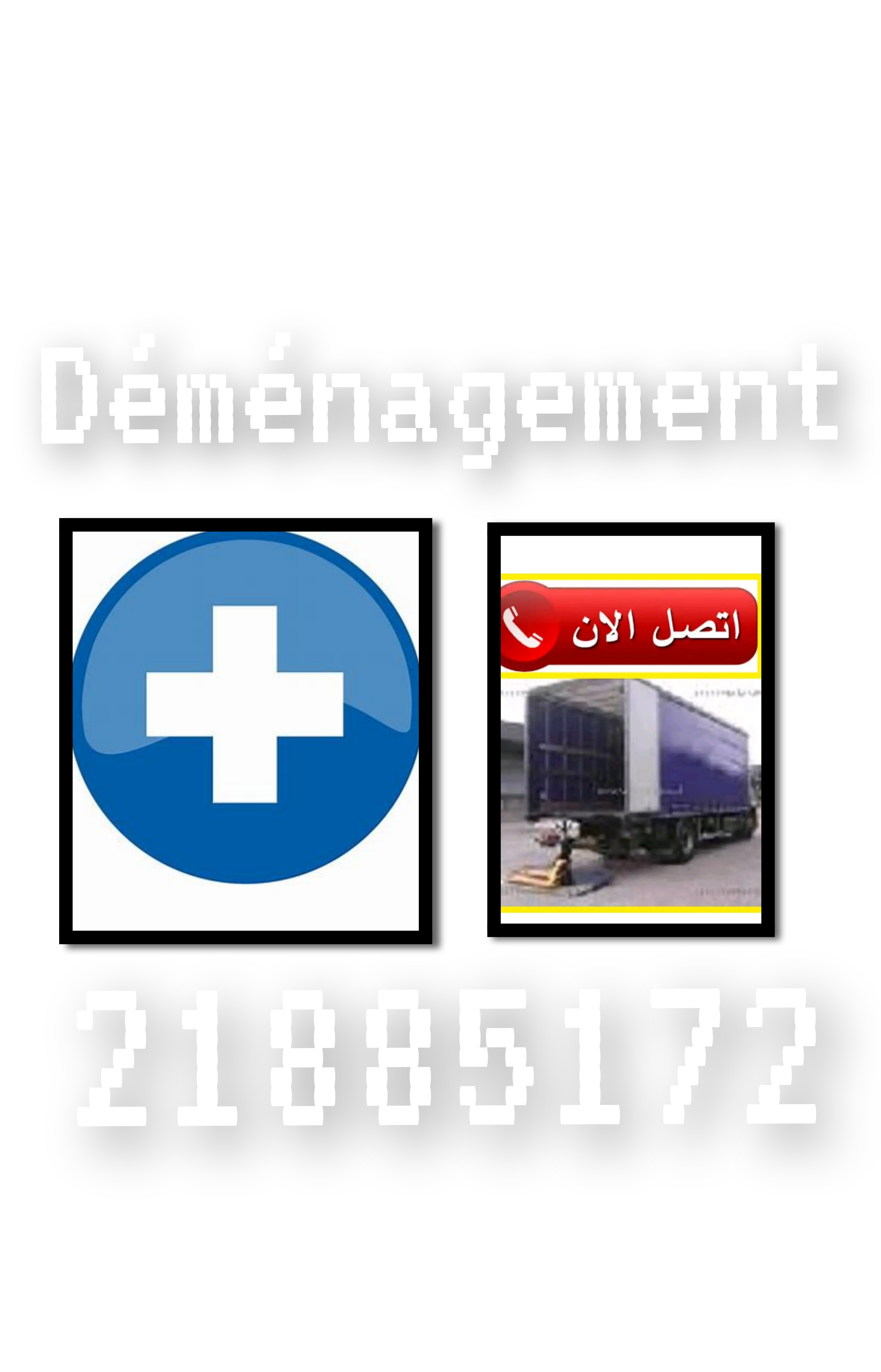 Ariana Ville Ariana Tranport & dmnagement Autre 21885172 d mnagement
