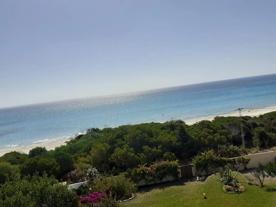 Kelibia Kerkouane Terrain Terrain agricole Occasion magnifique a partager