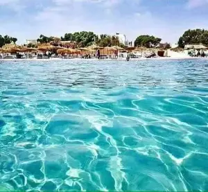 Hammam El Ghezaz Hammam El Ghezaz Terrain Terrain nu Un terrain pour investissement