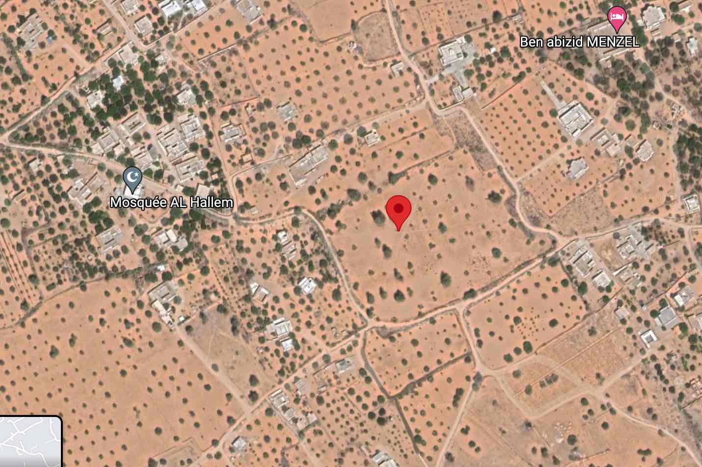 Djerba - Midoun El May Terrain Terrain agricole Ferme d'environ trois hectares avec tf