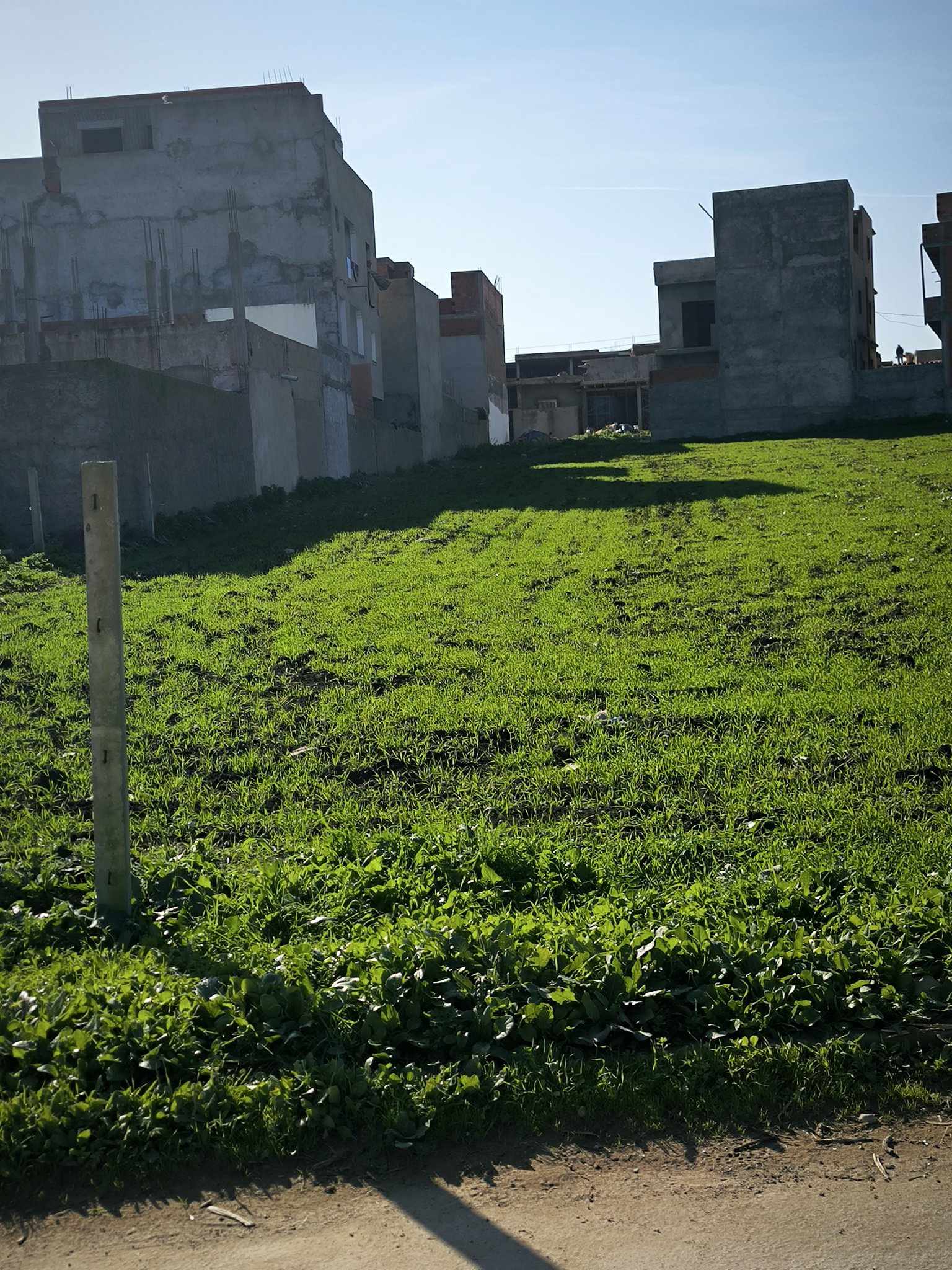 Bizerte Nord Bizerte Terrain Terrain nu Terrain  borj taleb bizerte