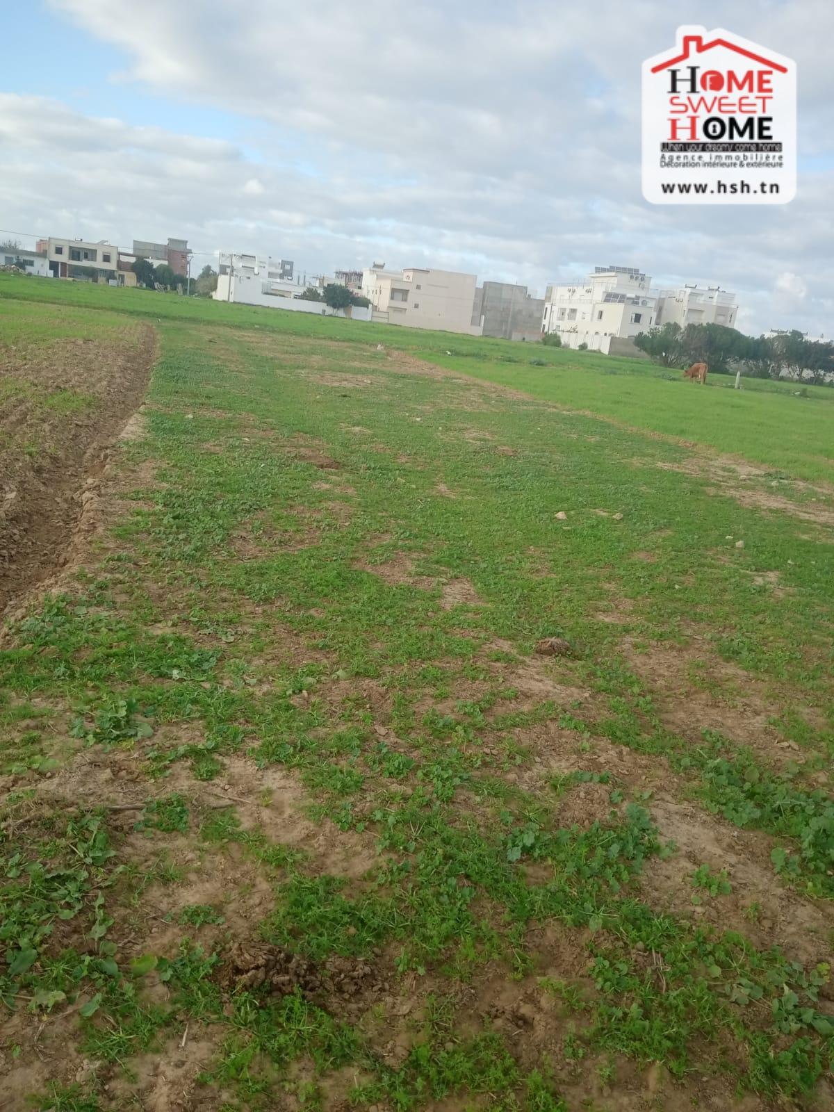 Hammam El Ghezaz&nbsp;Hammam El Ghezaz&nbsp;Terrain&nbsp;Terrain nu&nbsp;Terrain de villa auralis � hammem ghezez