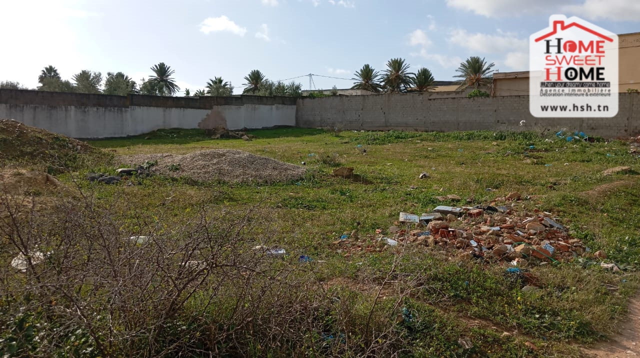 Raoued Borj Touil Terrain Terrain nu Terrain de villa hadya  borj touil
