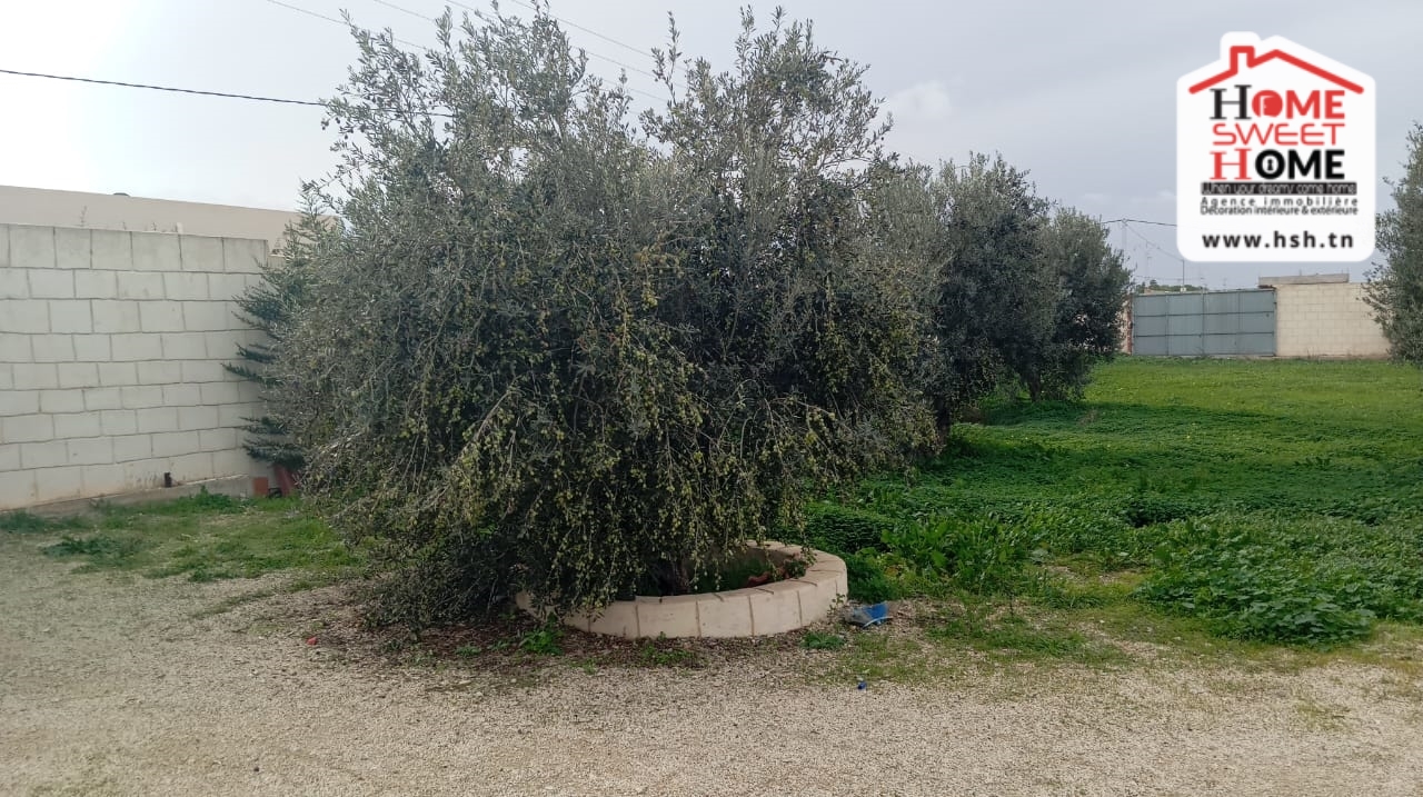 Raoued Borj Touil Terrain Terrain nu Terrain habitation orlia  borj touil