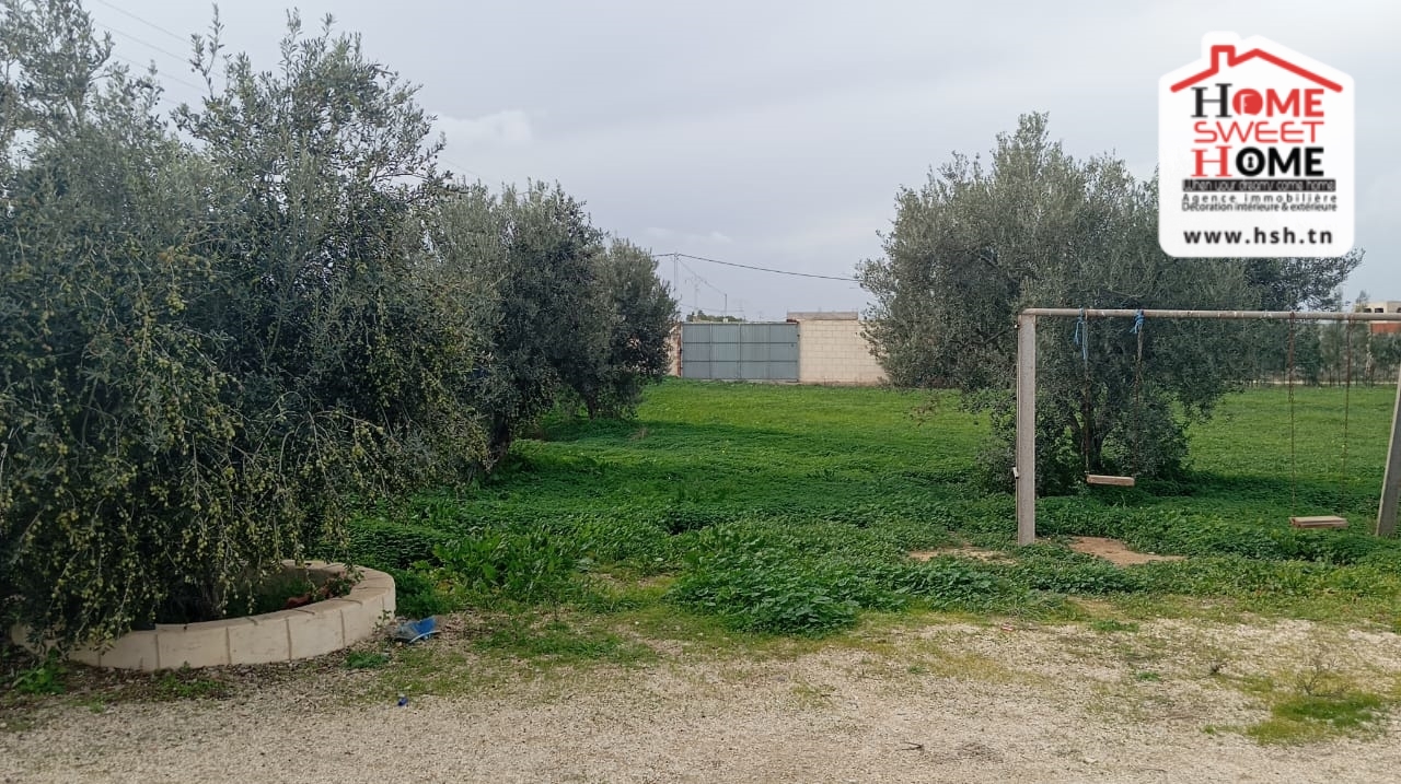 Raoued Borj Touil Terrain Terrain nu Terrain habitation orlia  borj touil