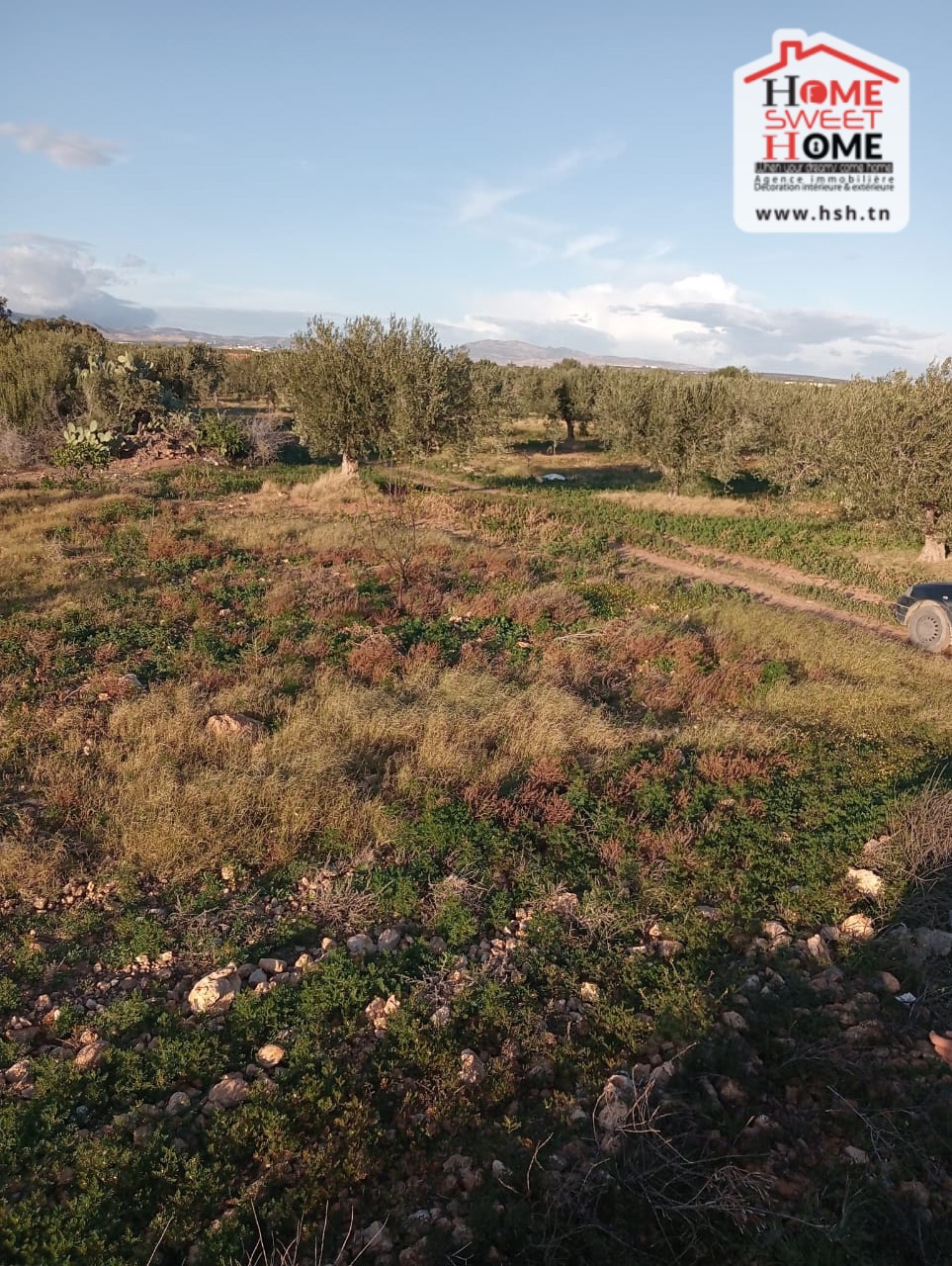 Zaghouan Zaghouan Terrain Terrain agricole Terrain agricole erraja  zaghouan