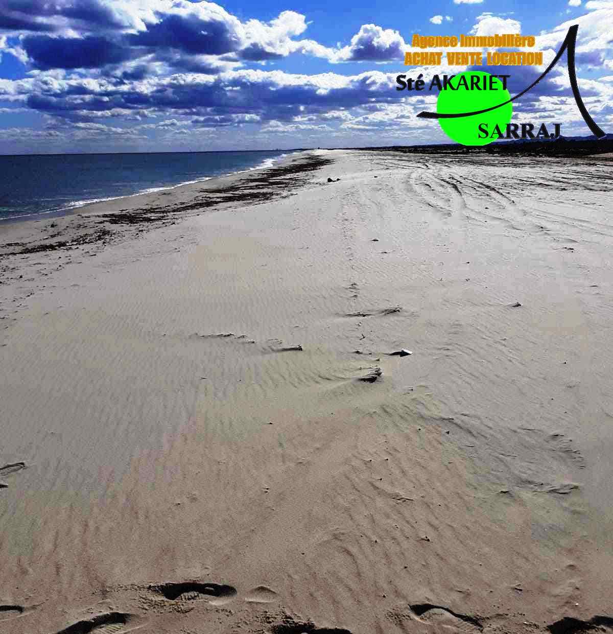 Hammamet Hammamet Terrain Terrain nu Des terrains diffrent superficie yasmine hammamet