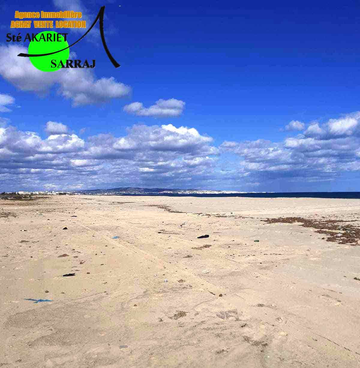 Hammamet Hammamet Terrain Terrain nu Des terrains diffrent superficie yasmine hammamet
