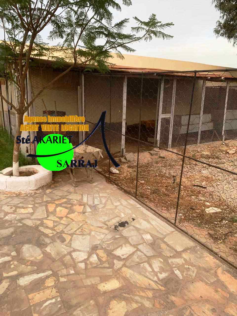 Kalaa El Kebira Kalaa El Kebira Terrain Terrain agricole Senia cltur entre kalaa kbira et kalaa sghira