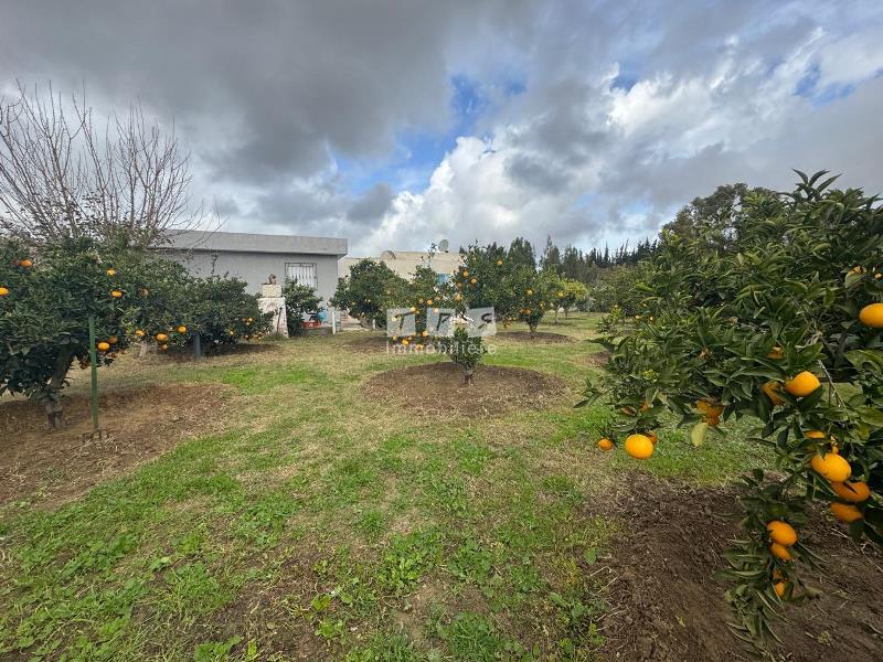 Hammamet Hammamet Vente Maisons Maison s2 av avec un terrain de 1700 metre carre