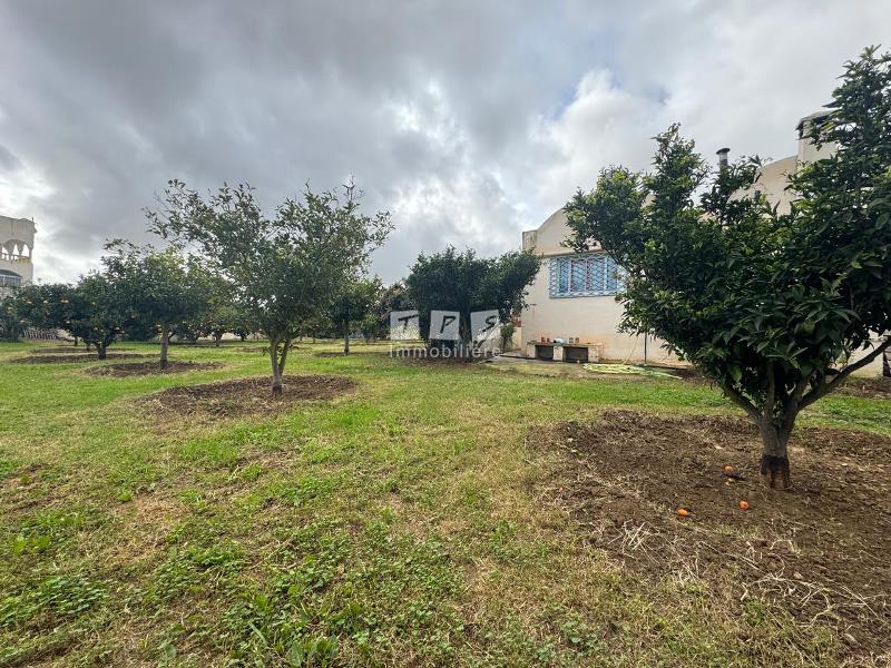 Hammamet Hammamet Vente Maisons Maison s2 av avec un terrain de 1700 metre carre