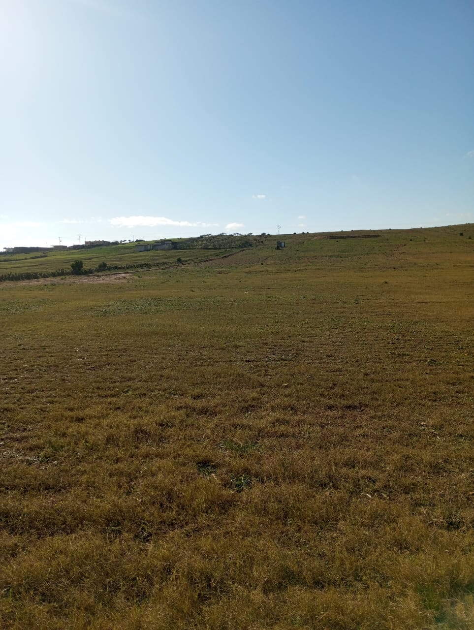 Hammam Zriba Bou Achir Terrain Terrain agricole Av 6 hectares avec sondage route zaghouan