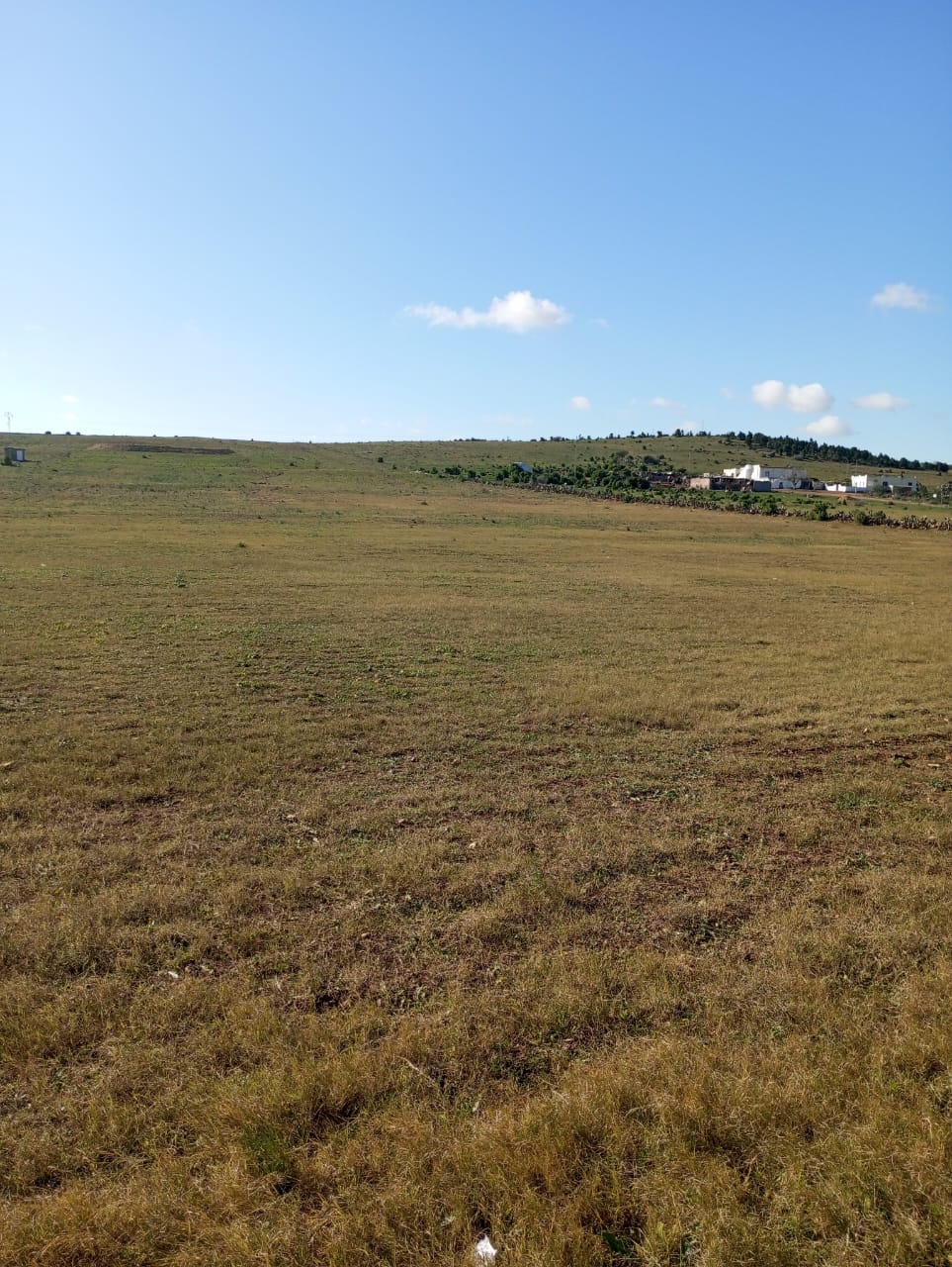 Hammam Zriba Bou Achir Terrain Terrain agricole Av 6 hectares avec sondage route zaghouan