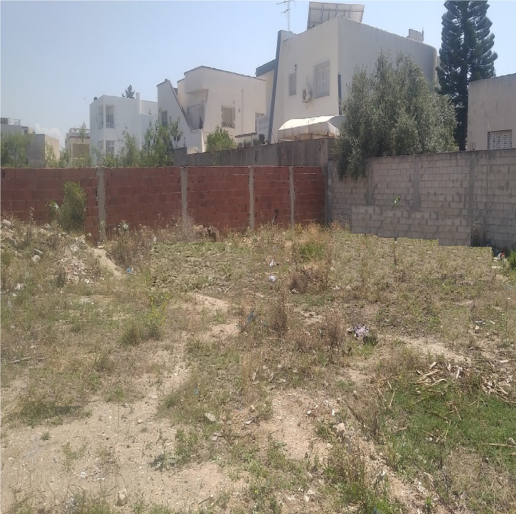 Raoued Cite El Ghazala 1 Terrain Terrain nu Terrain nu zone rsidentielle viabilise