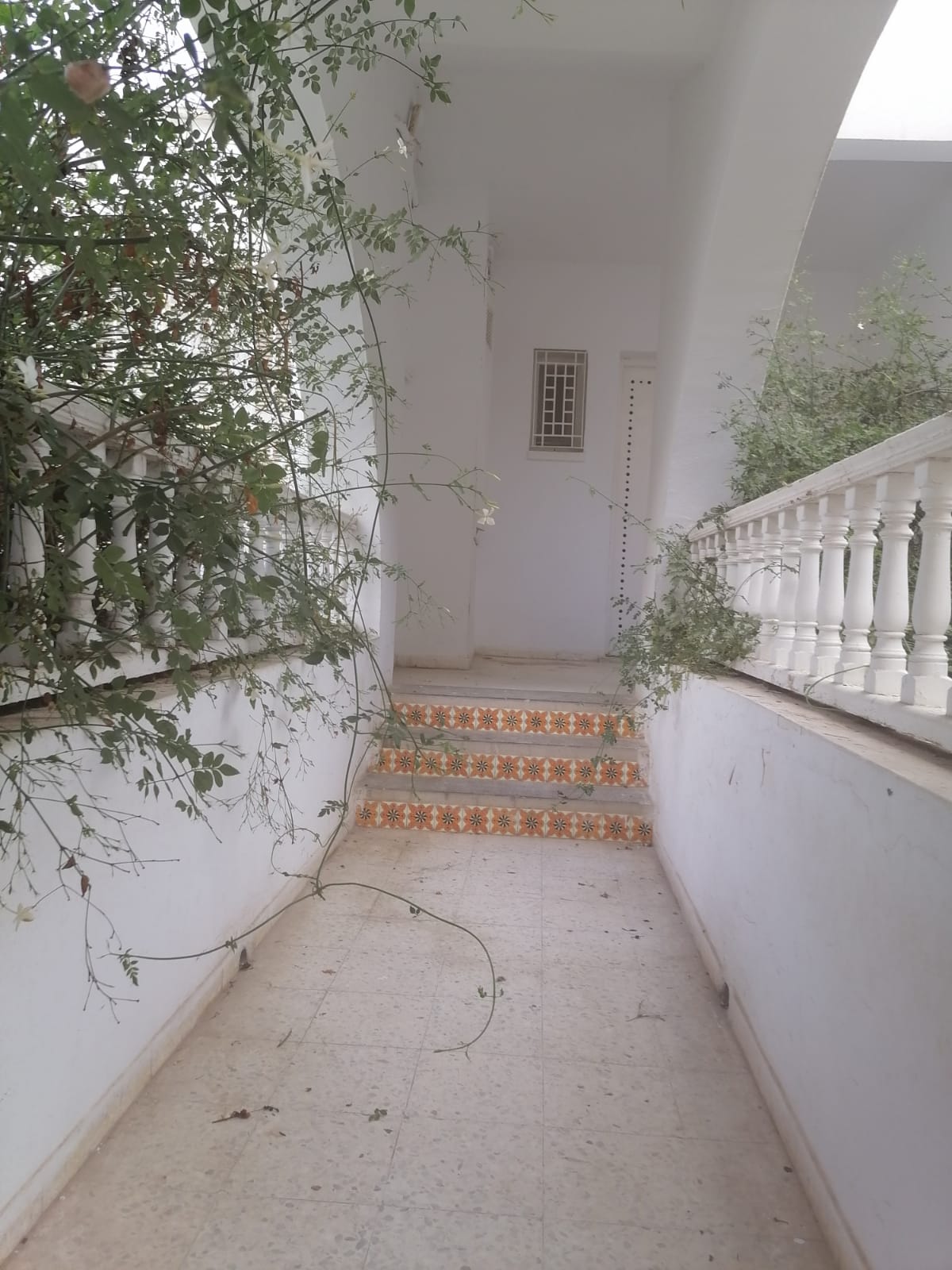 El Menzah El Menzah 9 Location Appart. 2 pices S2  menzah 9