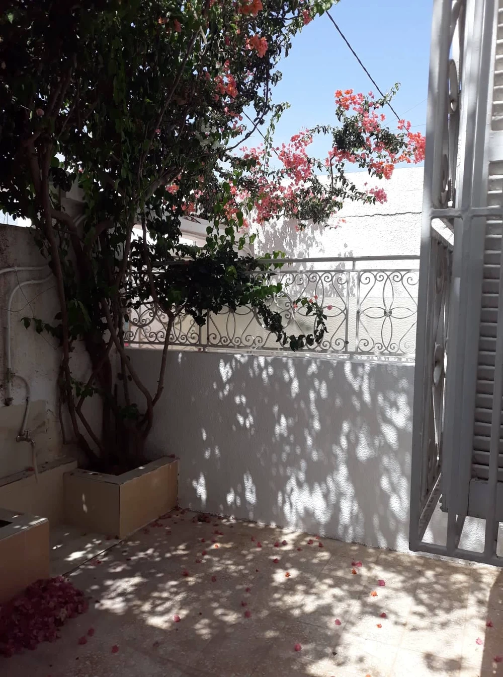 Megrine Megrine Riadh Location Maisons Studio non meubl  mgrine riadh