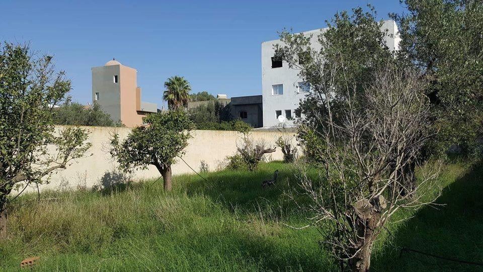 Hammamet Bir Bouregba Terrain Terrain nu Terrain 500 m2 en face de la gare de bir bouregba