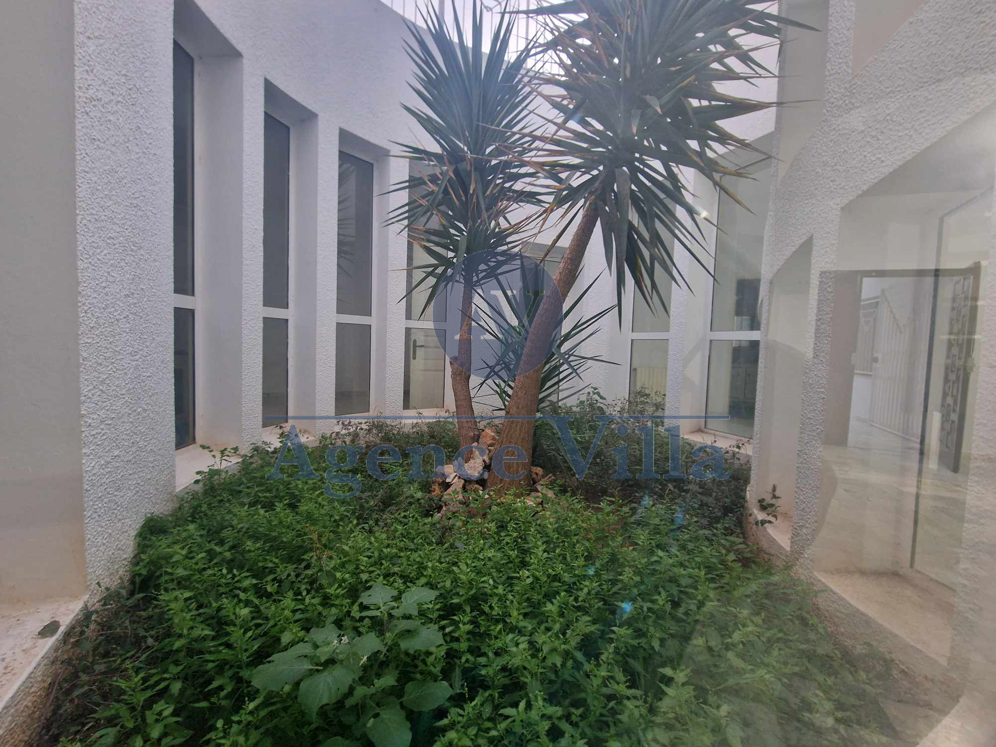La Marsa Marsa Ennassim Location Maisons Villa s7 a la marsa avec piscine