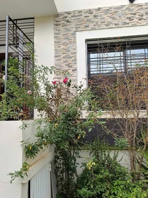 Ghar El Melh Ghar El Melh Vente Maisons Joli villa a sidi ali el mekki ghar el meleh