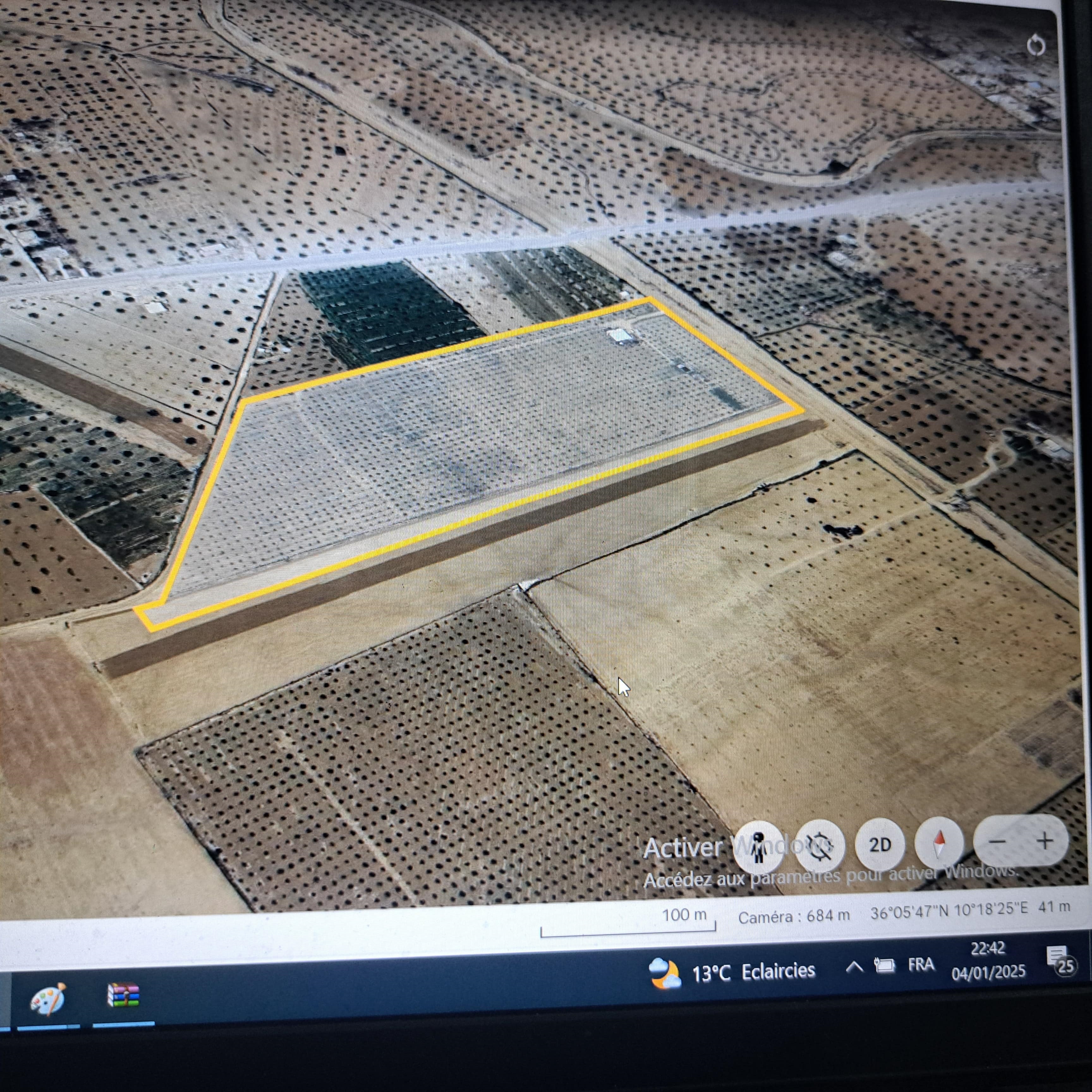 Enfidha El Frada Terrain Terrain agricole Senia 6 ha 51 ca 2600 oliviers