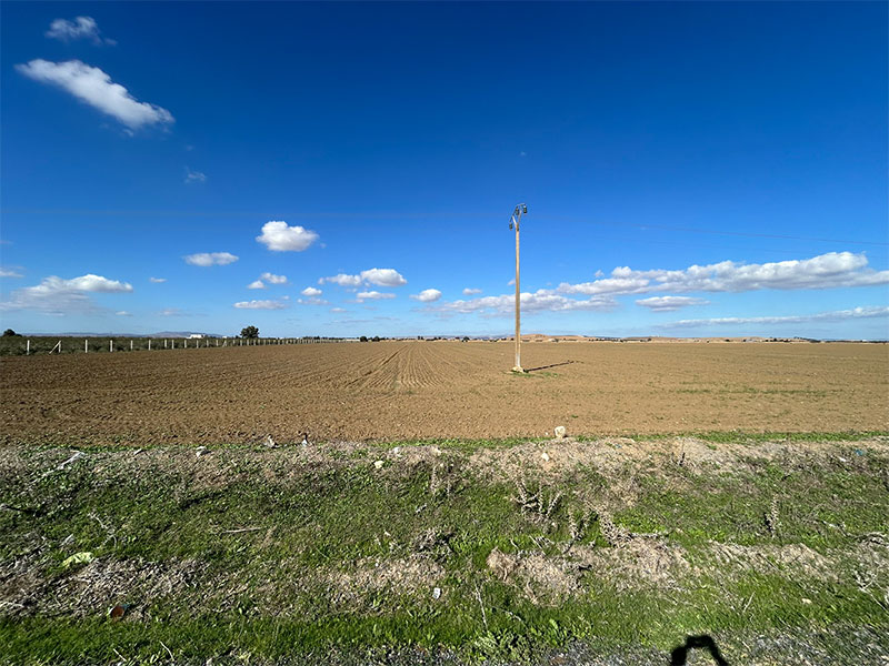 Sidi Thabet Chorfech Terrain Terrain agricole Terrain agricole  chorfech sidi thabet
