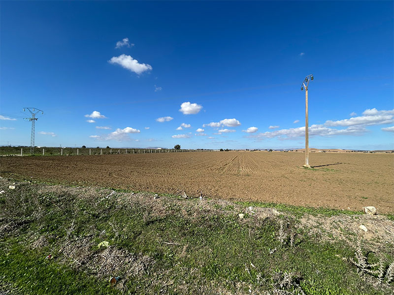 Sidi Thabet Chorfech Terrain Terrain agricole Terrain agricole  chorfech sidi thabet