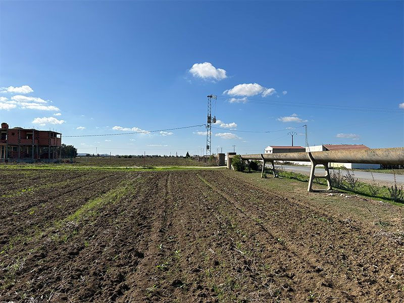 Sidi Thabet Chorfech Terrain Terrain agricole Terrain agricole  chorfech sidi thabet