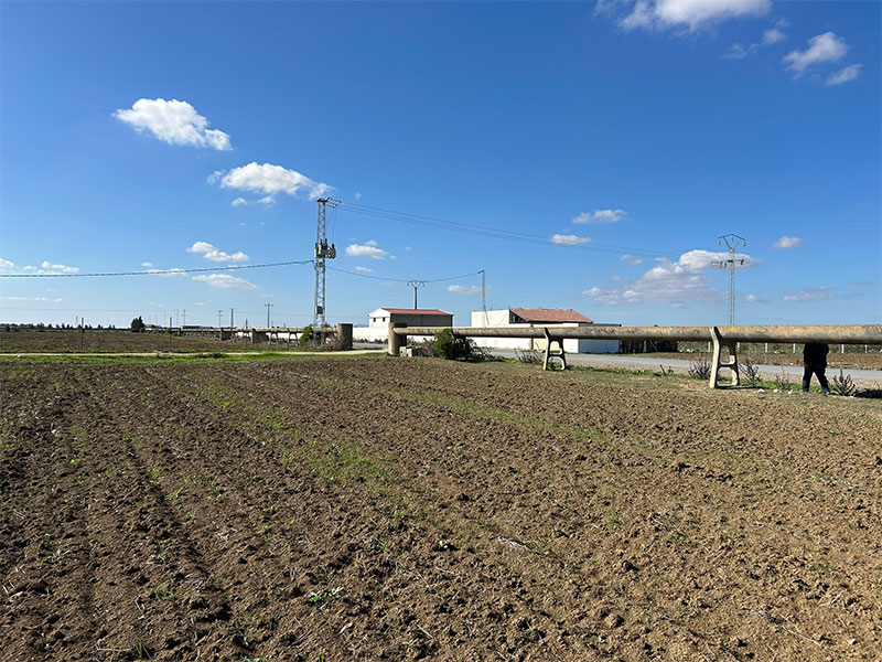 Sidi Thabet Chorfech Terrain Terrain agricole Terrain agricole  chorfech sidi thabet
