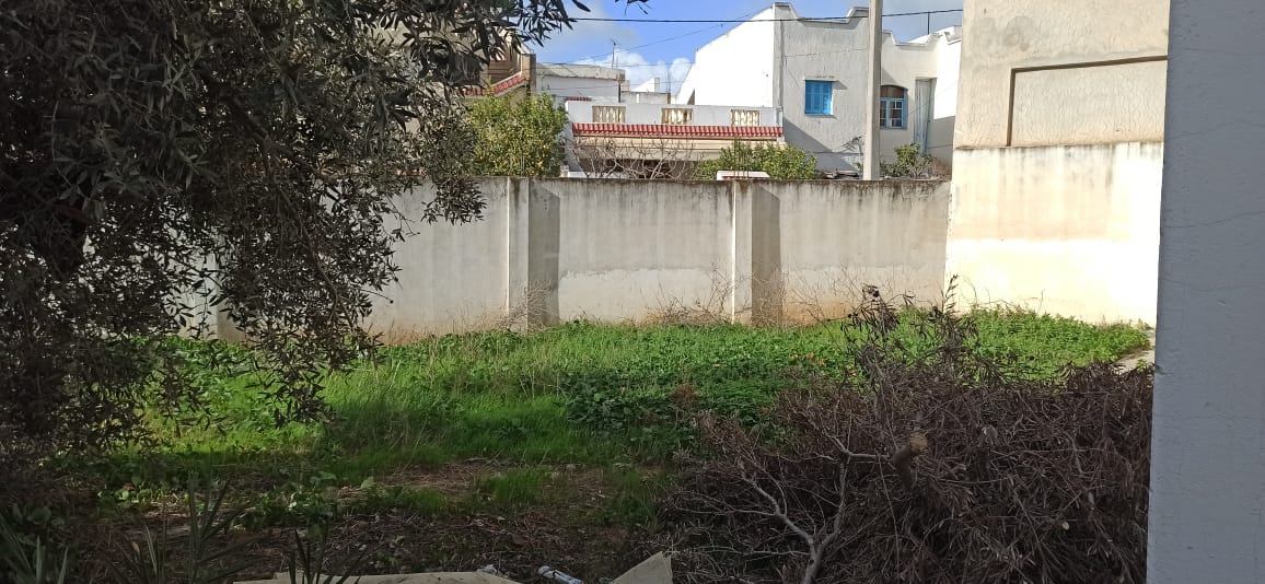 Oued Ellil Oued Ellil Vente Duplex Duplex  oued ellil