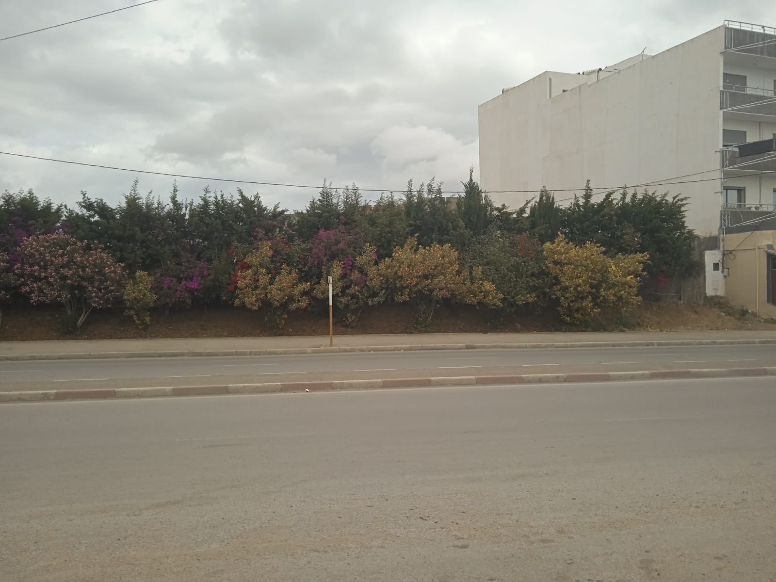 Bizerte Nord Bizerte Bab Mateur Terrain Terrain nu Emplacement qui fera la diffrence