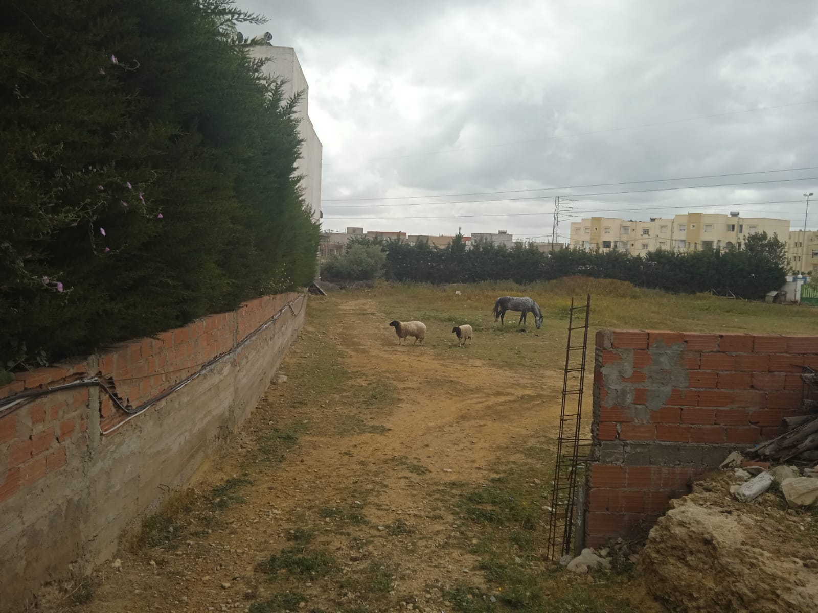 Bizerte Nord Bizerte Bab Mateur Terrain Terrain nu Emplacement qui fera la diffrence
