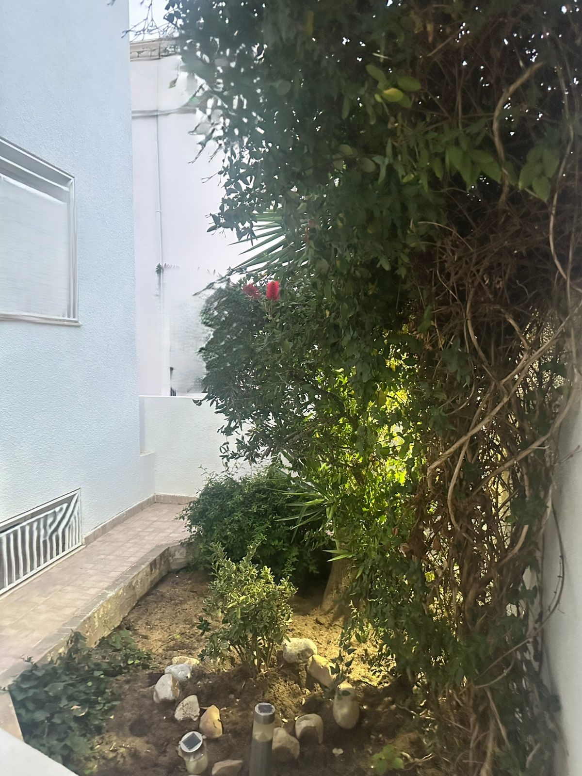 Ariana Ville Cite Ennasr 2 Location Maisons Ennasr2 agrable villa s4 avec garage