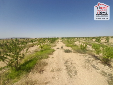 Sidi Aich Sidi Aich Terrain Terrain nu Terrain agricole  salazar  sidi aich