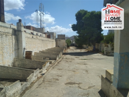 Tebourba Tebourba Terrain Terrain nu Terrain promoteur medina  tebourba