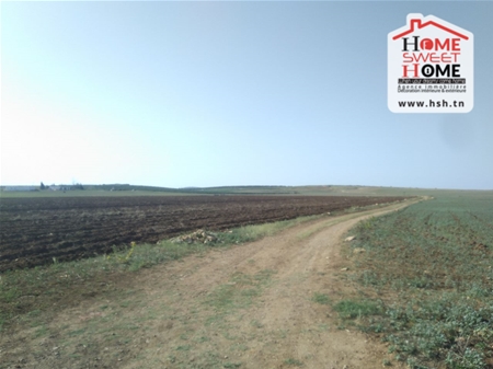 Borj El Amri Borj El Amri Terrain Terrain agricole Terrain agricole zoe  messadina borj amri