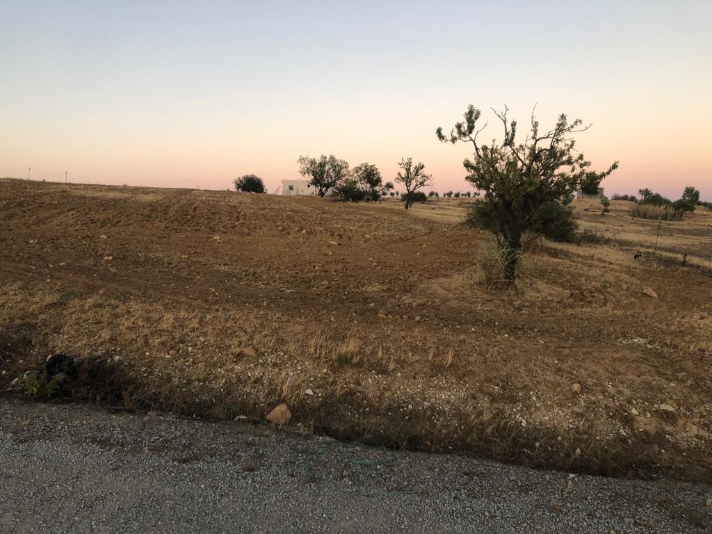 Mannouba La Mannouba Terrain Terrain agricole Terrain agricole odas  el habibia la manouba