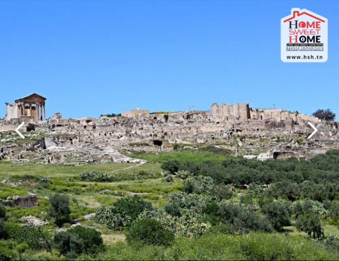 Beja Nord Beja Terrain Terrain nu Terrain agricole aude  dougga