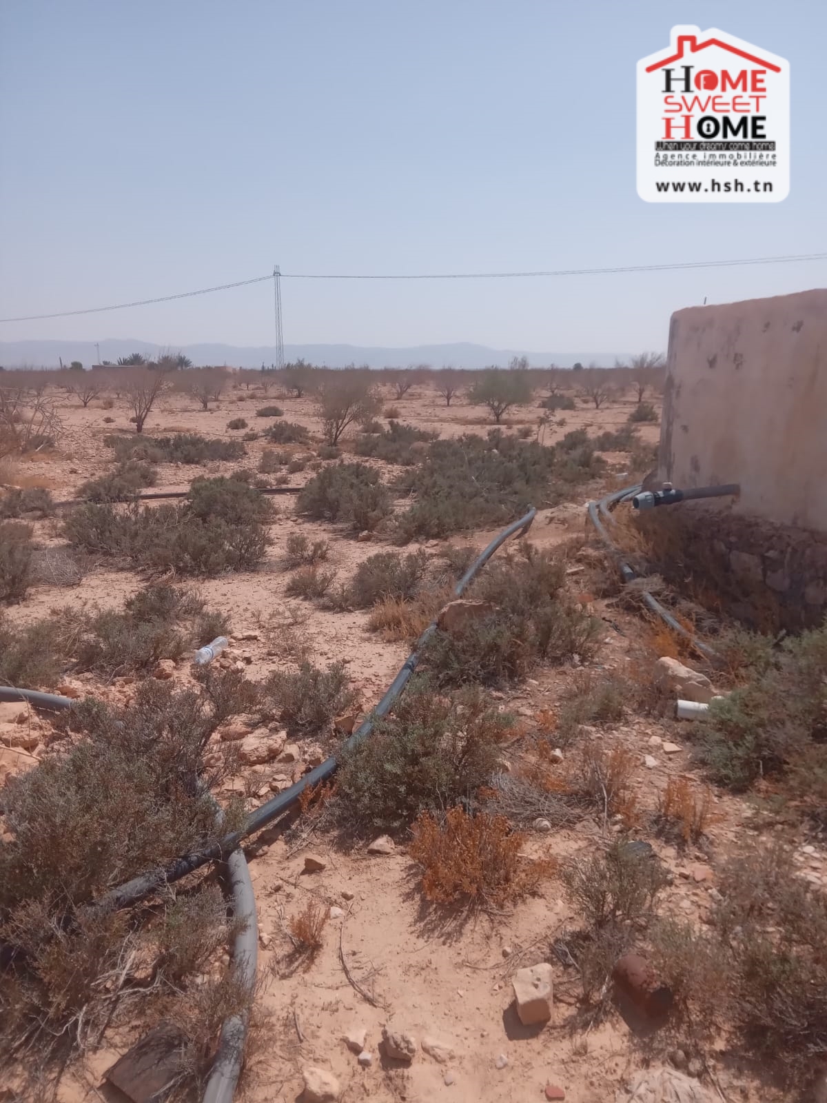 Gafsa Nord Echabiba Terrain Terrain agricole Terrain agricole pinova  gafsa