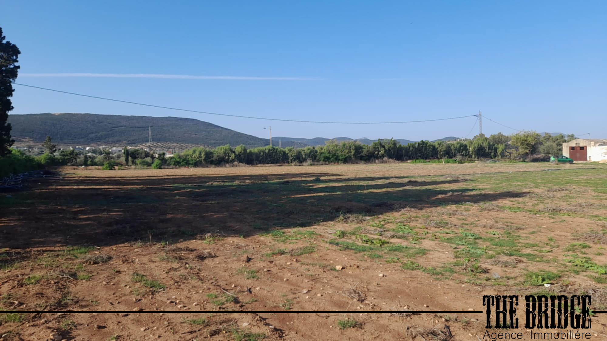 Bou Argoub Cite Jadida Terrain Terrain agricole 2 hectares et 7 ares  nus  bouargoub