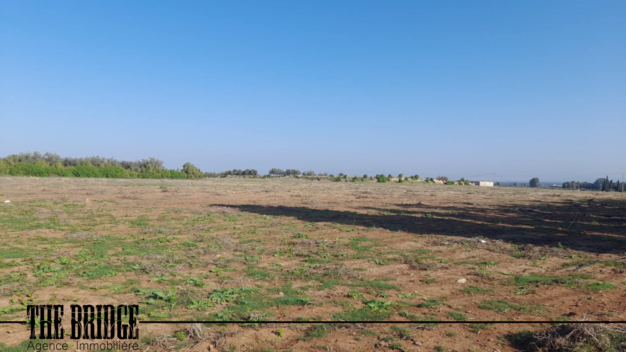 Bou Argoub Cite Jadida Terrain Terrain agricole 2 hectares et 7 ares  nus  bouargoub