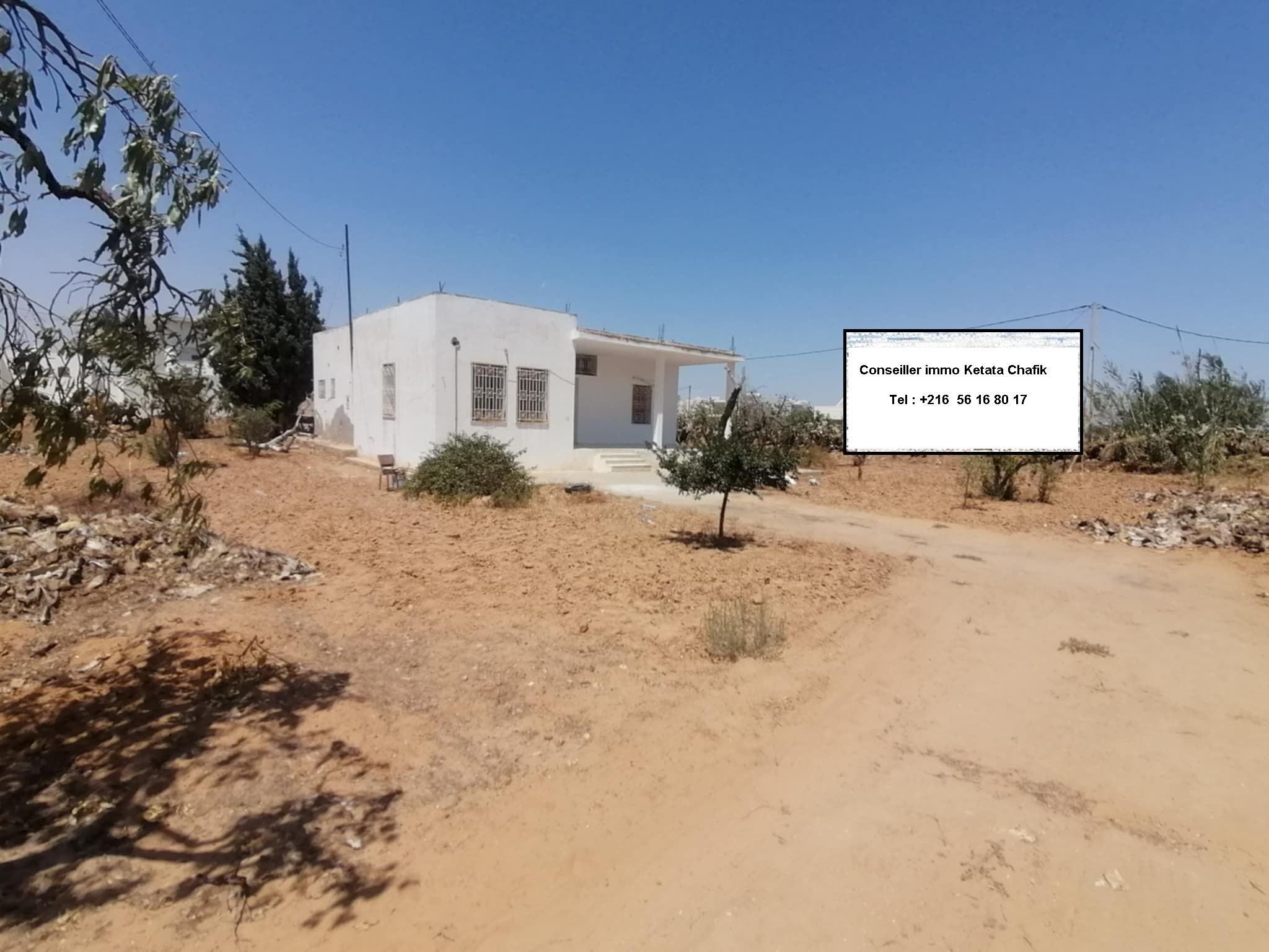 Sfax Est Merkez Chaker Terrain Terrain nu Menzel chaker vnt terrain 1153m2