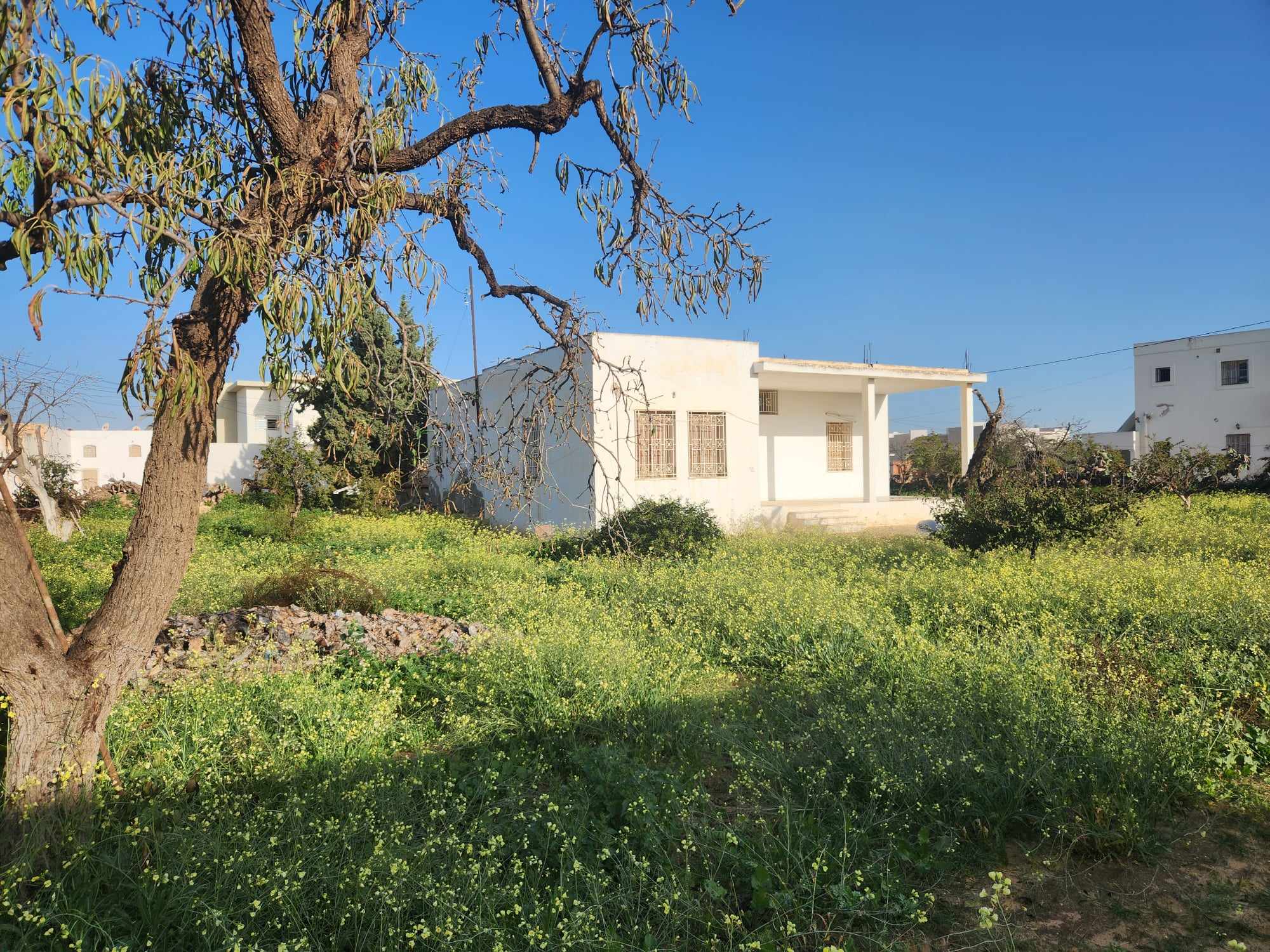 Sfax Est Merkez Chaker Terrain Terrain nu Menzel chaker vnt terrain 1153m2