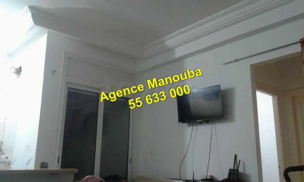 Mannouba La Mannouba Location Appart. 1 pice Appartement s1