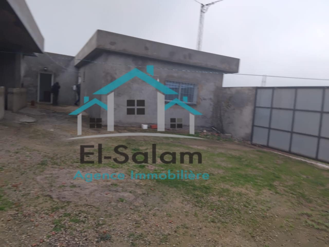 El Haouaria El Kedoua Terrain Terrain agricole 4000m2 avec arbres olives et studio