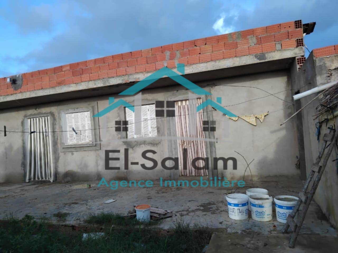 El Haouaria El Kedoua Terrain Terrain agricole 6000m2 avec un studio arabres olives