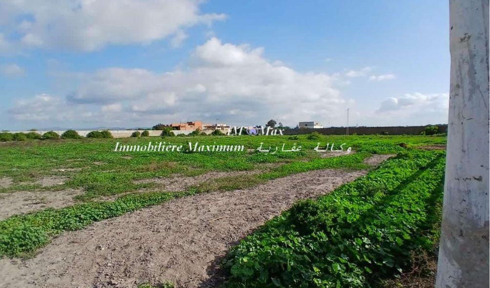 Soliman Soliman Terrain Terrain agricole Ferme 8h avec villa route korbos
