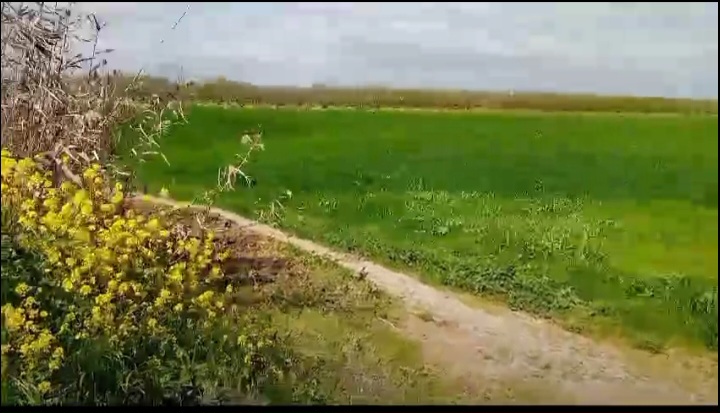 Jedaida Chaouat Terrain Terrain agricole Terrain jdaida chaouat