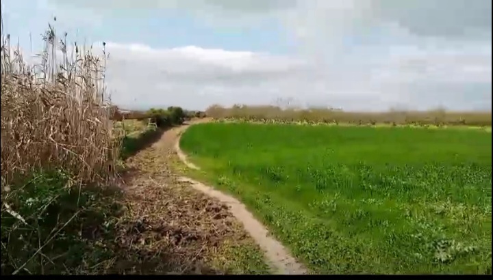 Jedaida Chaouat Terrain Terrain agricole Terrain jdaida chaouat